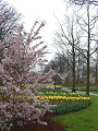 Keukenhof